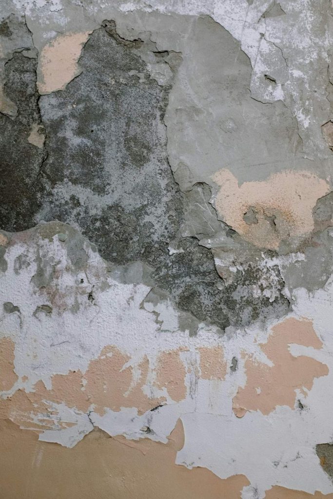 Pared con humedades por filtración, un posible vicio oculto en una vivienda.